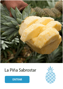 Piña Sabrostar